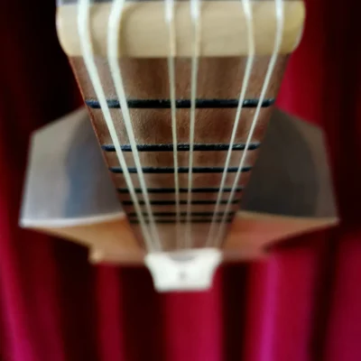 Closeup of medieval citole